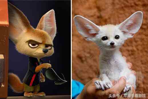 如果魔獸世界要票選第一萌寵，你選哪個？