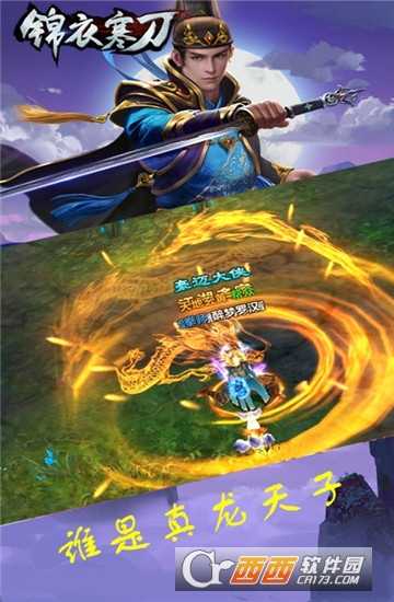 錦衣寒刀變態版