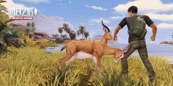 明日之后鹿野原在哪 鹿野原位置介紹