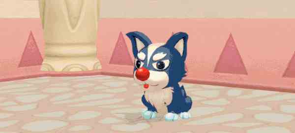 摩爾莊園手游哈士奇怎么變身的 哈士奇變身套裝