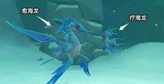 創(chuàng)造與魔法愈海龍飼料怎么做 愈海龍飼料配方公式