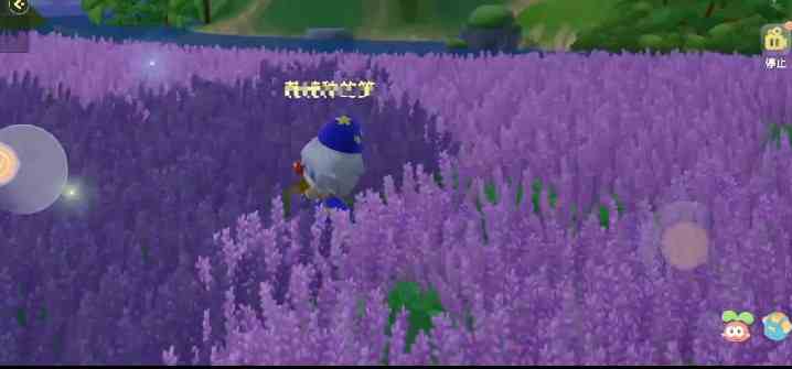 摩爾莊園薰衣草花梗獲取攻略