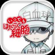 任何時候工作細胞